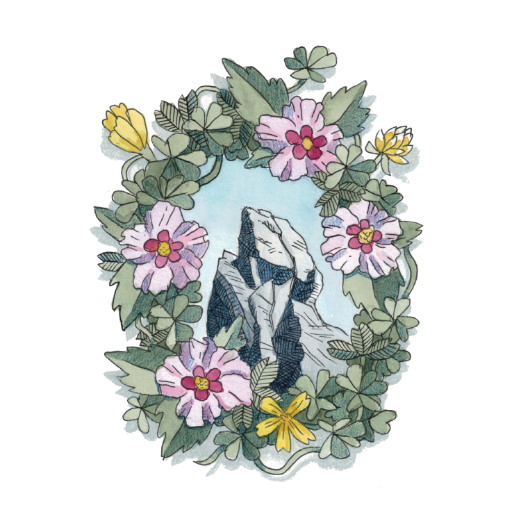 Illustration of a mountain peak surrounded by flowers.